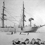 Picture Of Ernest Shackleton Expedition Ship Discovery In Antarctic